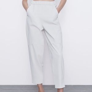 Faux Leather Seamed Pants from Zara NWT